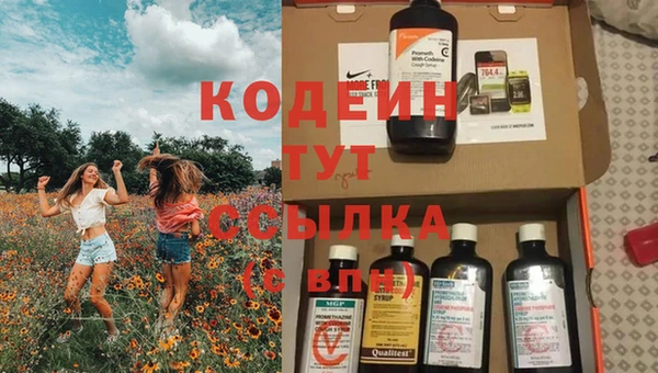 дурь Новодвинск